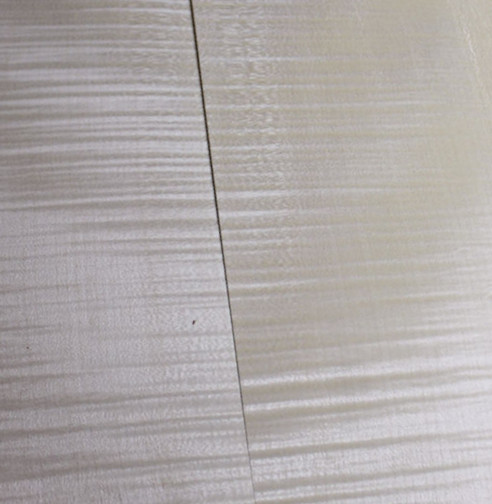 flame maple